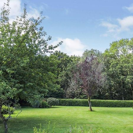 Woodland House B & B Wimborne Minster Exteriör bild