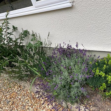 Woodland House B & B Wimborne Minster Exteriör bild
