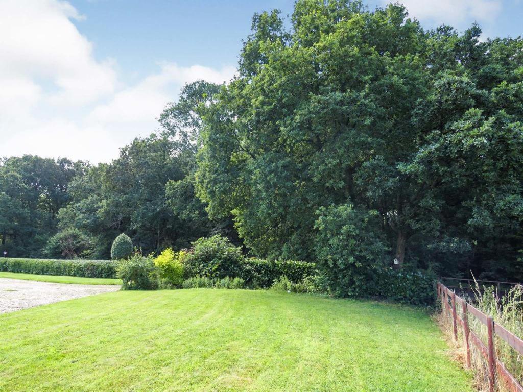 Woodland House B & B Wimborne Minster Exteriör bild
