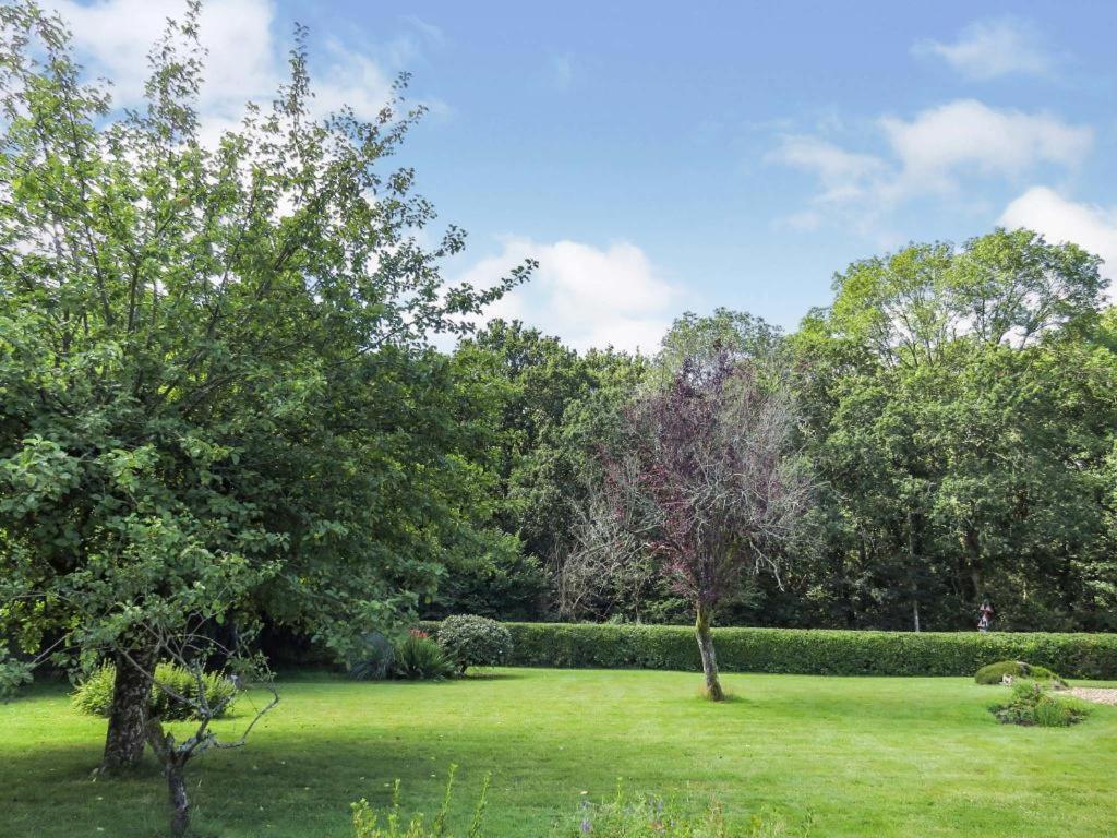 Woodland House B & B Wimborne Minster Exteriör bild
