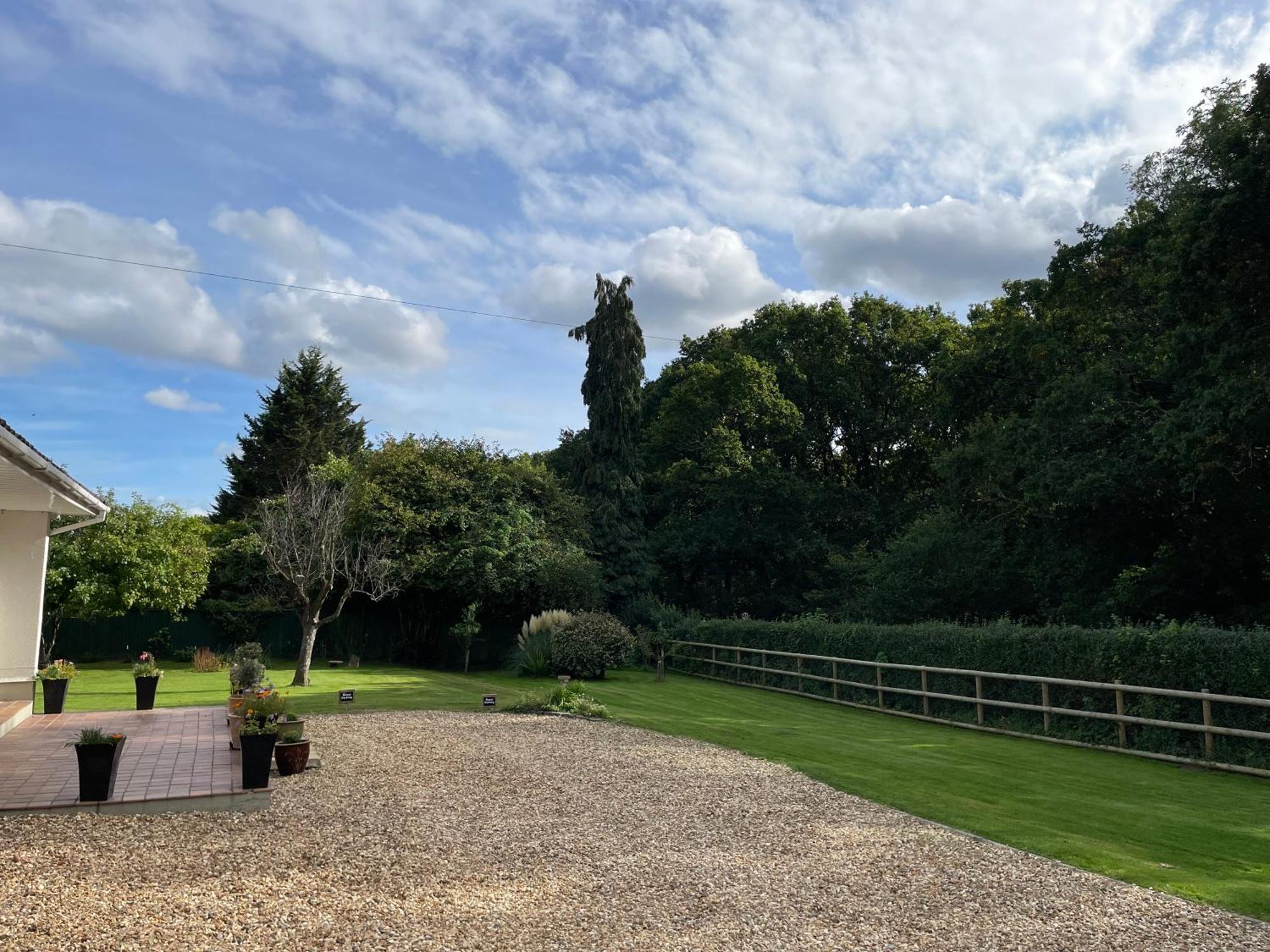 Woodland House B & B Wimborne Minster Exteriör bild